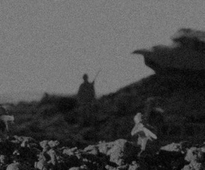 7433080008_7ac14fd56a_o