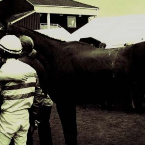 7433307794_75f8a72f96_o