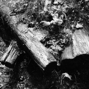 7433310124_82a0907ef2_o